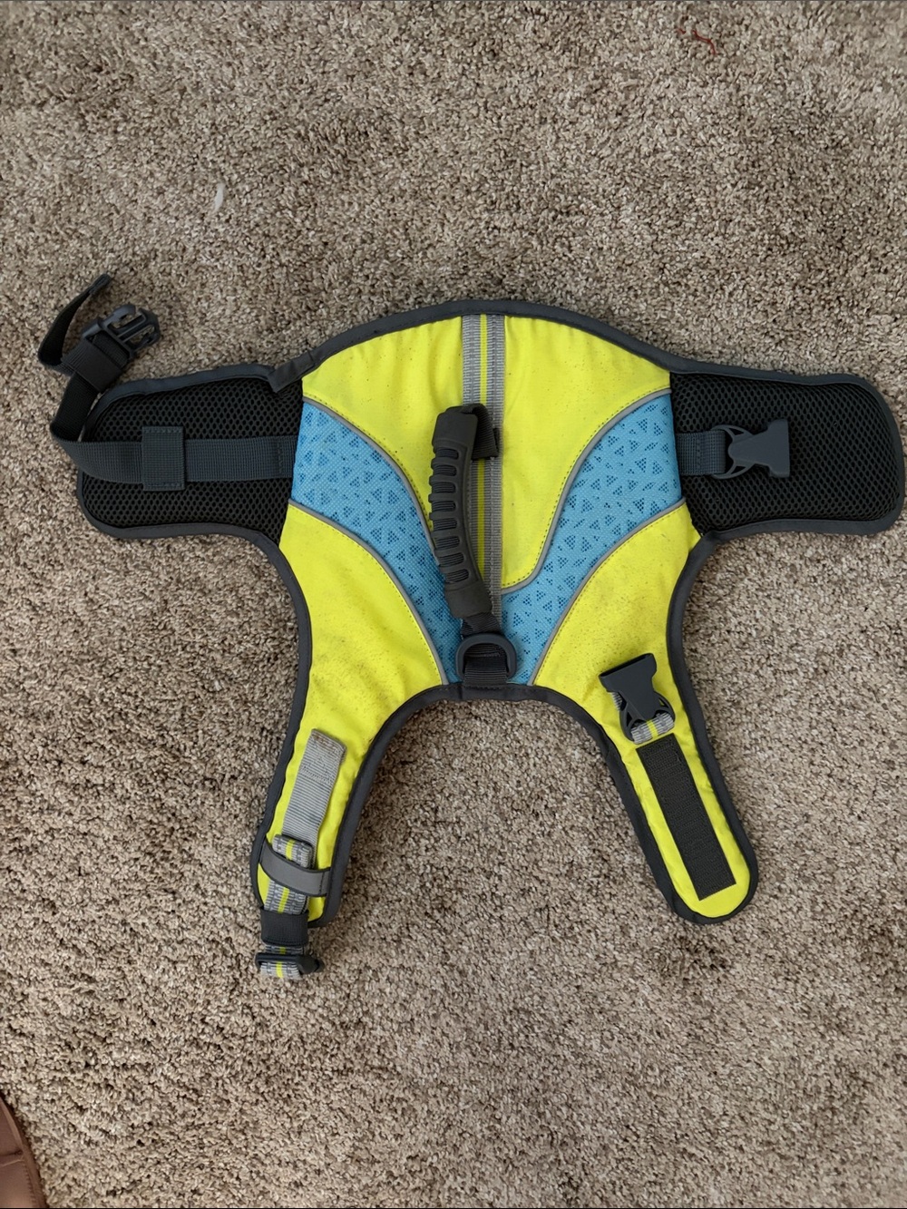 High-Visibility Yellow & Blue Reflective Dog Harness - Life Vest